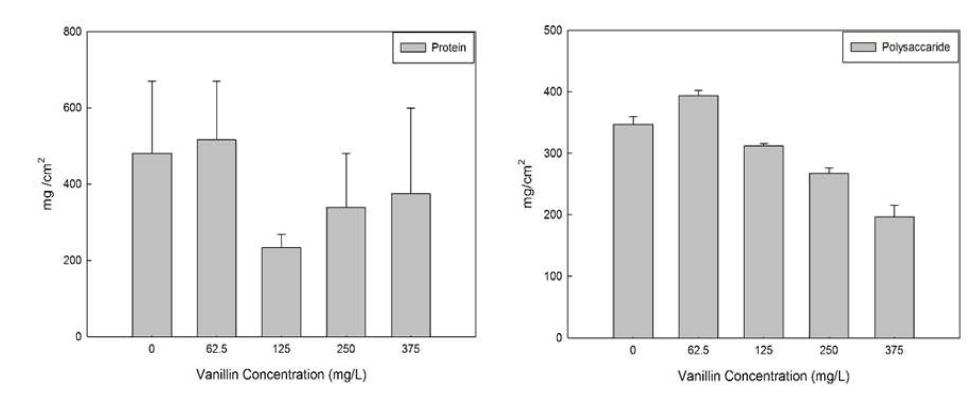 Biofilm에서의 Protein과 Polysaccharide 측정 결과(n=3)