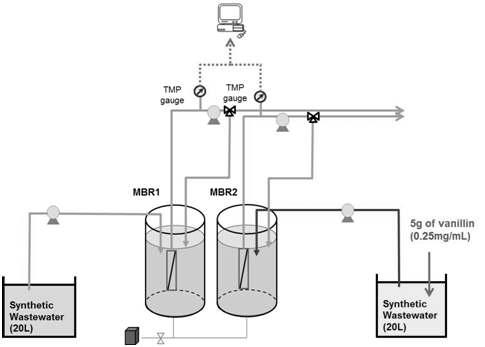 Vanillin의 정족수 감지 억제 평가를 위한 MBR 시스템