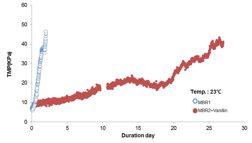 Vanillin을 MBR에 적용했을 때 막간 차압(TMP) 변화