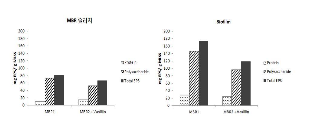 MBR운전후 MBR 분리막의 Biofilm과 MBR 슬러지의 EPS분석 비교