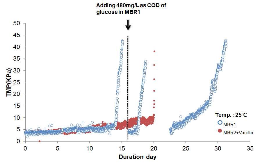 Control MBR에 동일량의 당원을 넣어준 다음 Vanillin MBR와 막간 차압을 비교