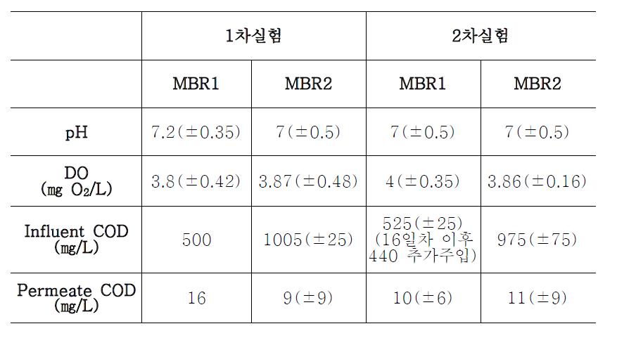 MBR 운전조건