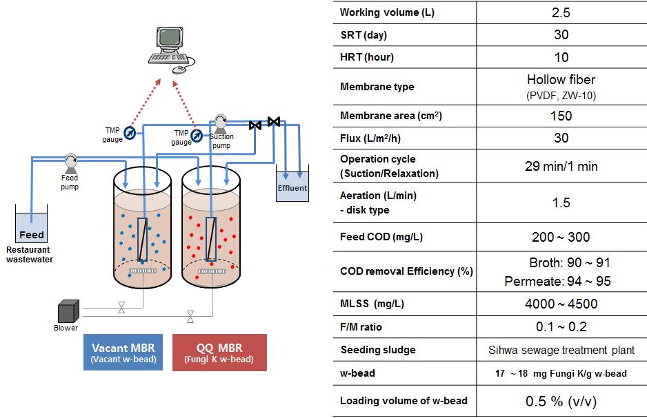 Fungi K 고정 W-bead 1차 MBR 운전 조건