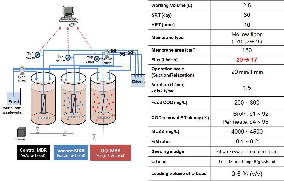 Fungi K 고정 W-bead 2차 MBR 운전 조건