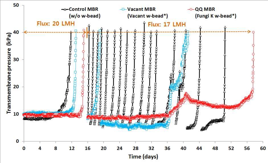 Fungi K 고정 W-bead 2차 막간 차압 변화