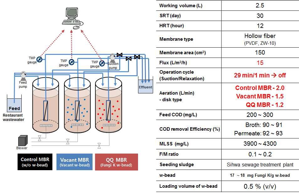 Fungi K 고정 W-bead 3차 MBR 운전 조건 포기량 변경