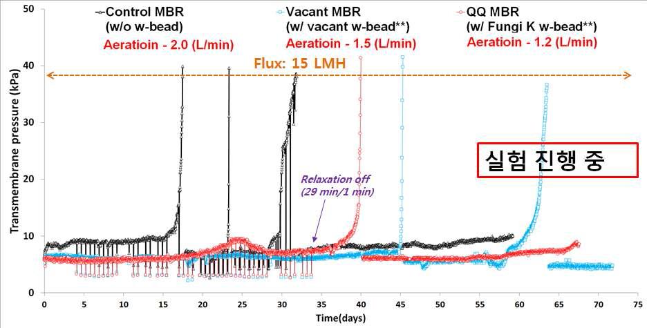 Fungi K 고정 W-bead 3차 막간 차압 변화