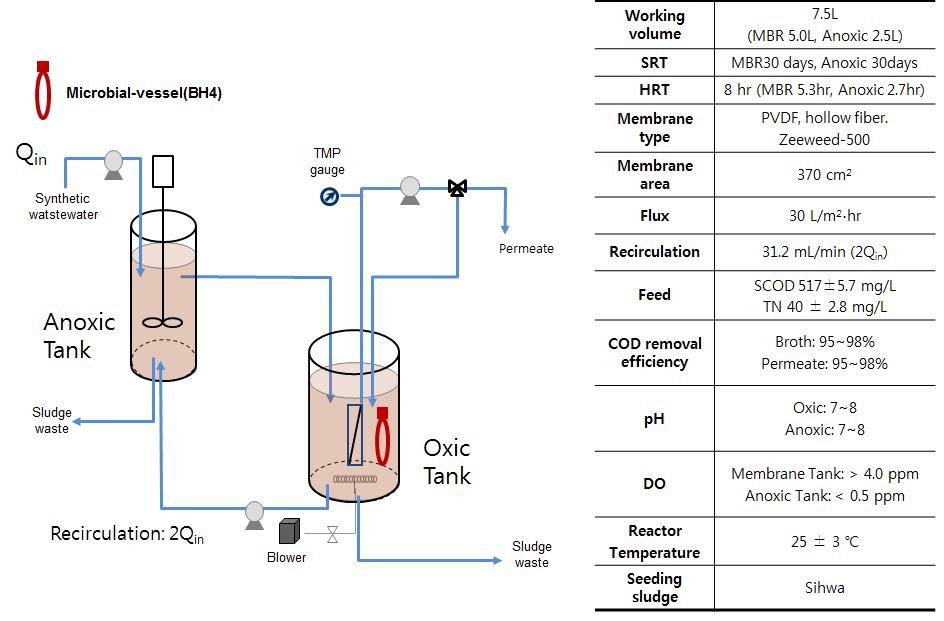 A/O MBR 모식도 및 운전 조건