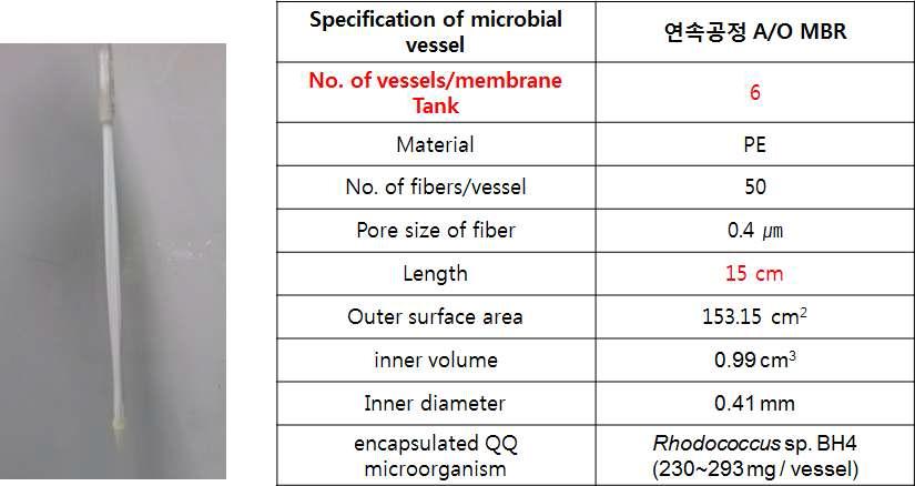 A/O MBR에 적용된 미생물 고정 용기 조건