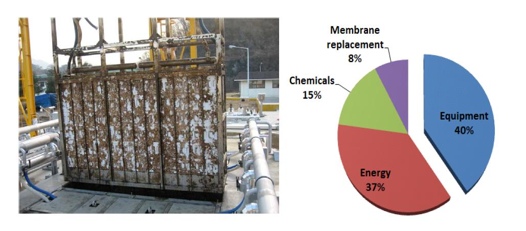 생물막 오염이 진행된 MBR의 분리막 오염과 MBR 시설 및 운전비용
