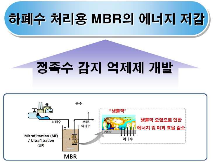 정족수 감지 억제제 개발의 필요성