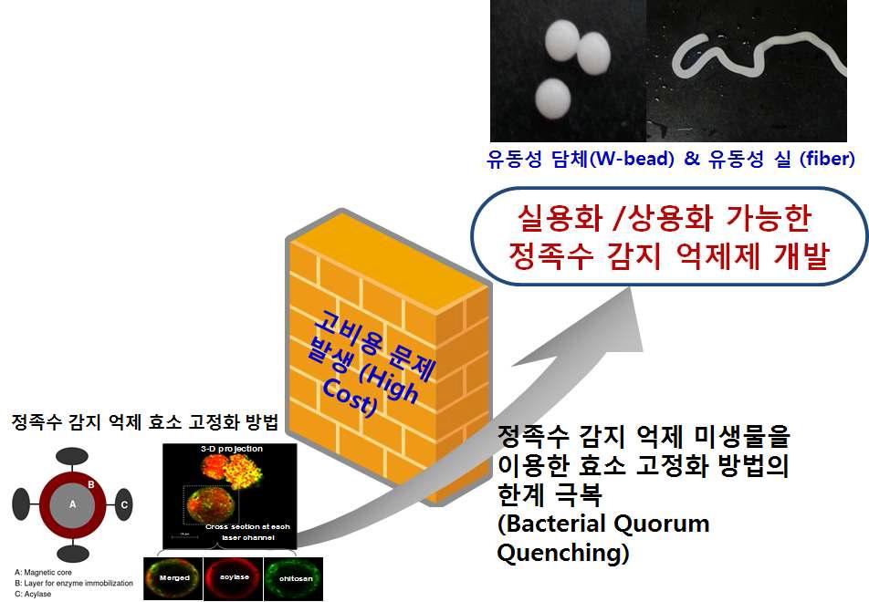 본 연구 과제의 차별성