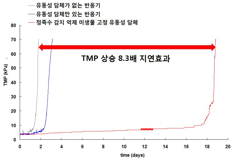 Alginate를 이용한 정족수 감지 억제제의 TMP 상승 지연효과