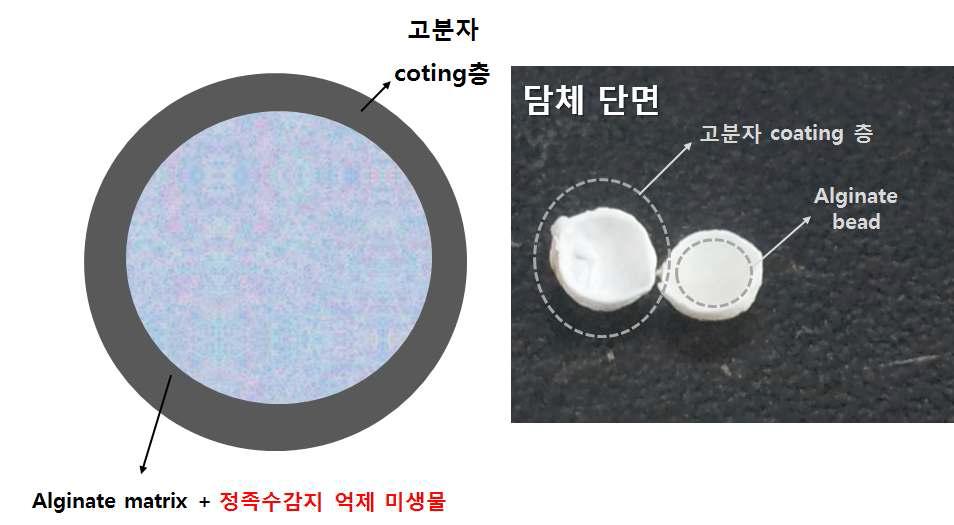 고분자 Coating Bead의 개요 및 시험제작한 고분자 Coating Bead