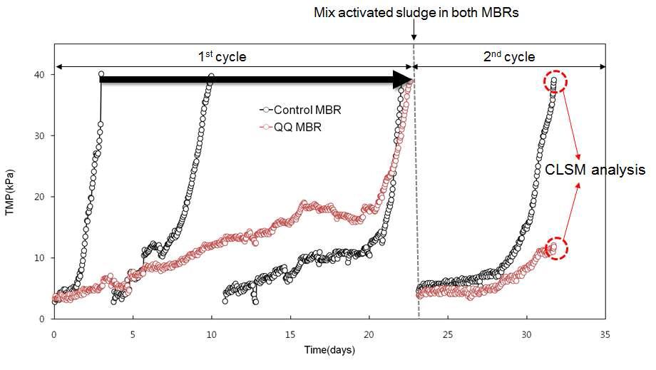 M-bead의 MBR 막간 차압(TMP) 변화