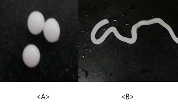 본 연구실에서 개발한 정족수감지 억제제: A) 유동성 담체(bead), B) 유동성 실(fiber)