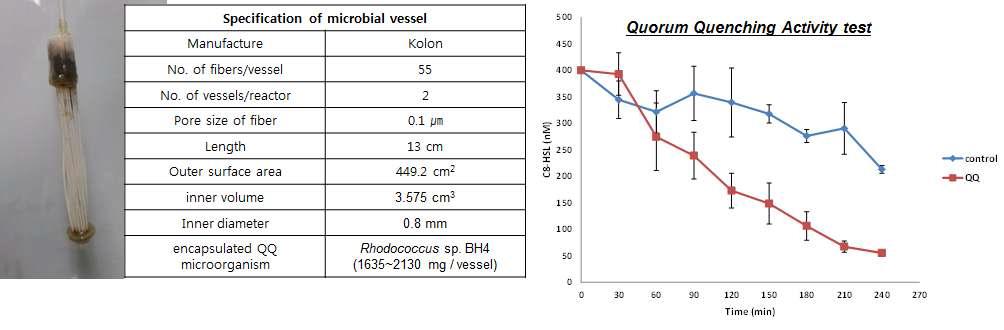 중공사막형 Microbial-vessel 사진 및 정족수 감지 억제 Activity Test결과