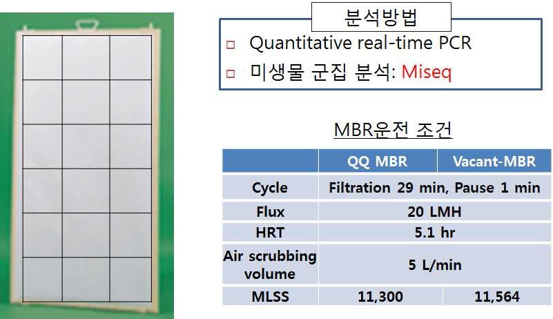 미생물 군집 비교 분석을 위한 미생물 군집 Sampling 위치, 분석방법, MBR 운전 조건