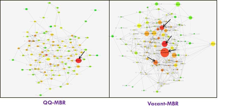 미생물 군집 network 분석