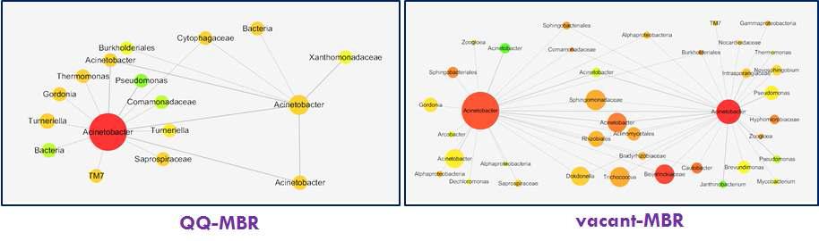 미생물 군집 network core 분석