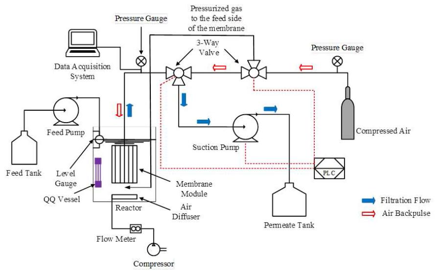 QQ 박테리아 용기가 주입된 lab-scale 실험장치의 모식도.