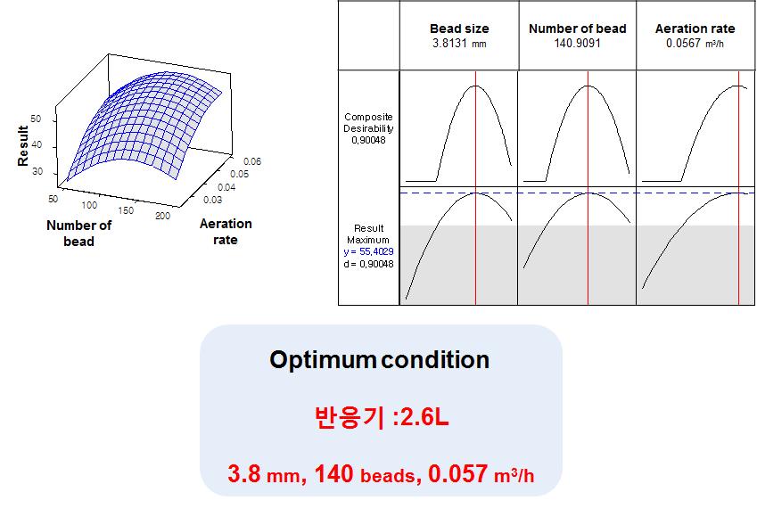 회분식조건에서 도출된 최적의 유동성담체 공정조건