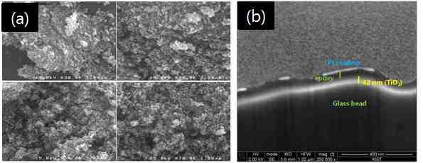 이산화티타늄 SEM Image (a)비드 표면,