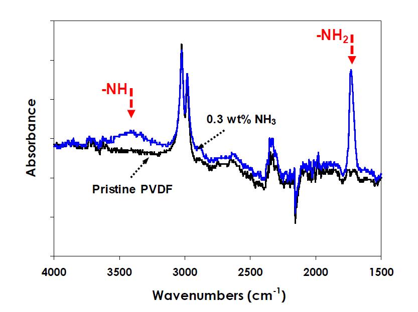 플라즈마 처리에 의해 NHx 친수기 도입 개질된 PVDF 분리막의 FT-IR Spectra