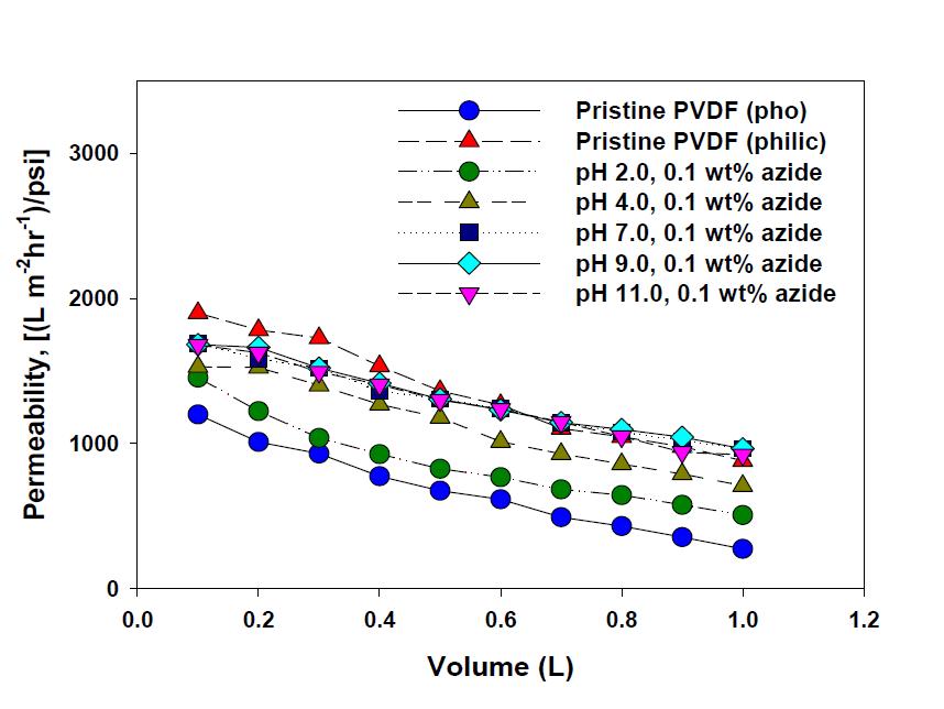 플라즈마 처리로 친수화 개질된 PVDF 분리막의 단시간 투과량에 따른 BSA 용액 permeability