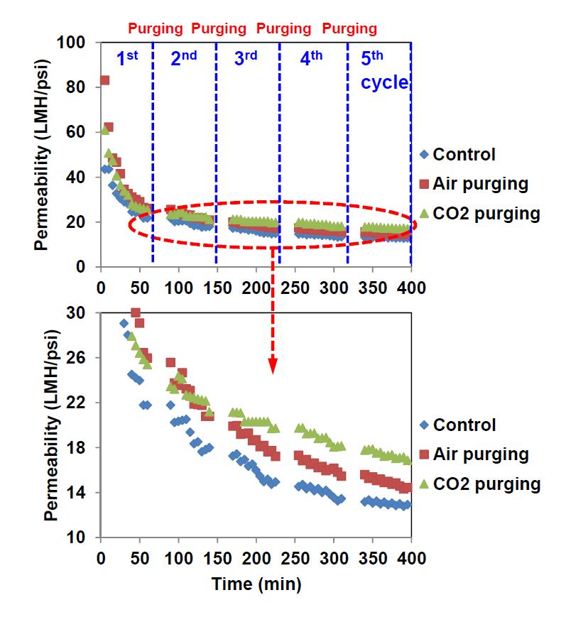 가스 purging에 의한 PVDF 분리막의 연속 투과능 비교