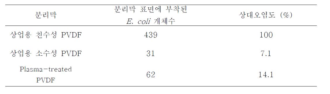 분리막 표면에 부착된 형광 발현 E. coli. 개체수에 의한 분리막 오염도 결과