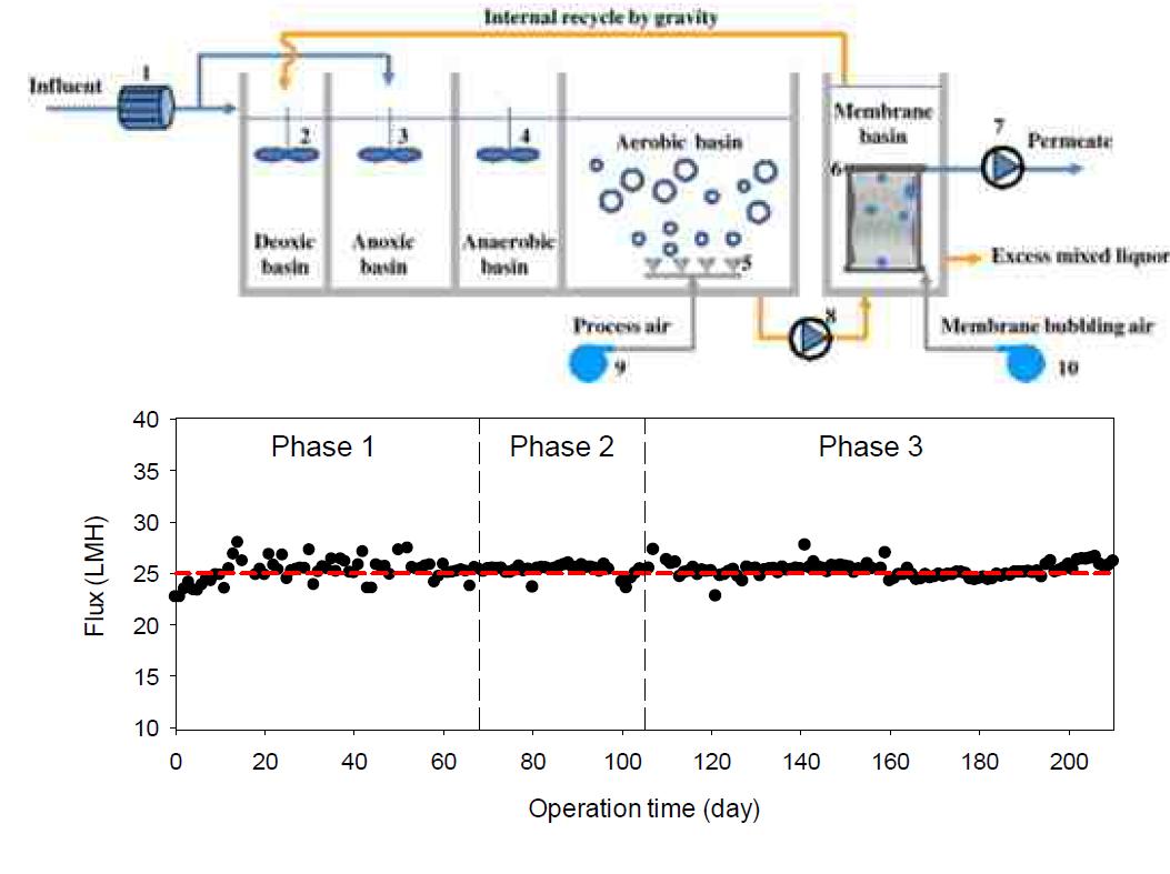 국내 K사 운영 pilot-scale MBR 플랜트 모식도 및 운전 결과
