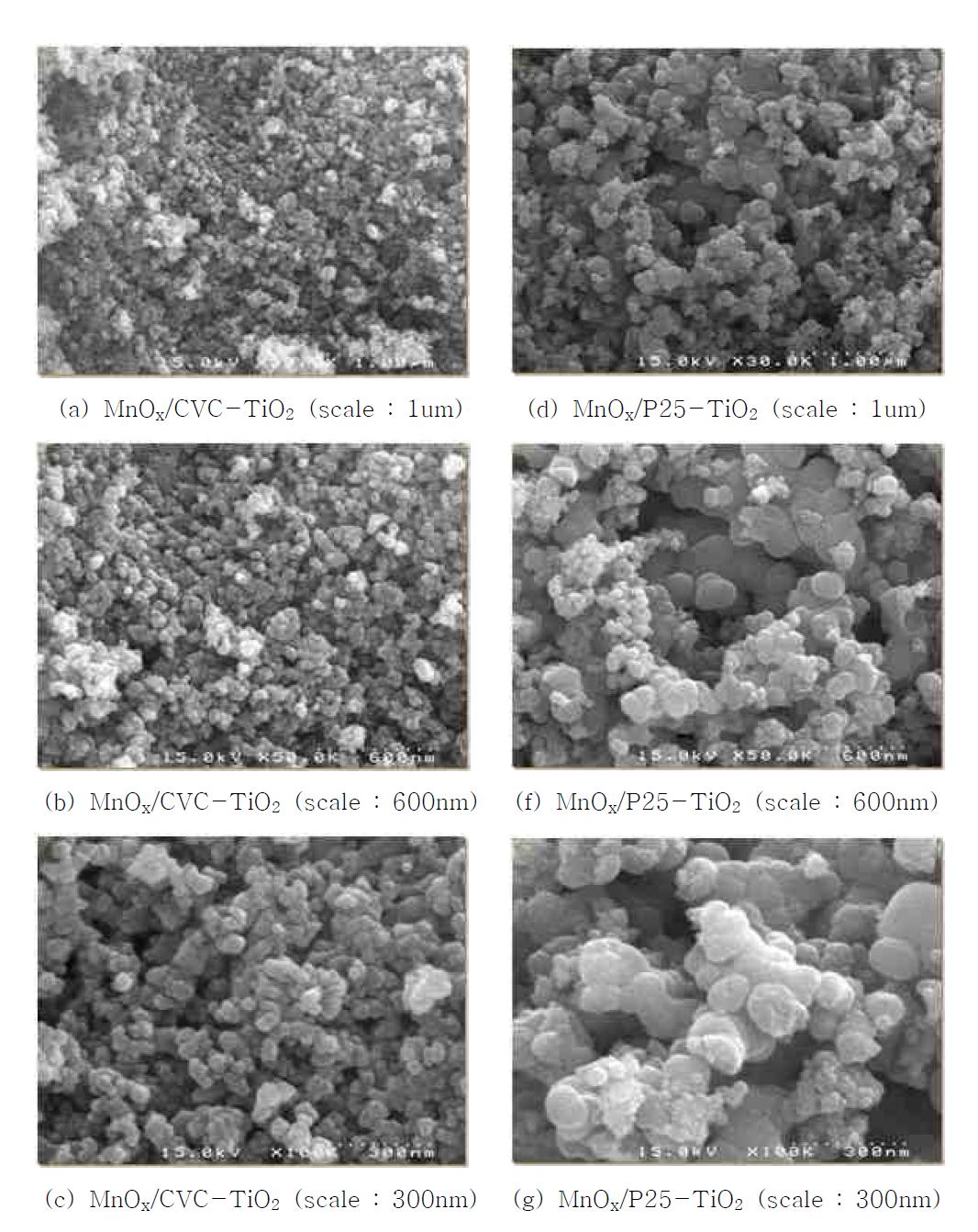 망간을 담지한 P25, CVC-TiO2 촉매의 FE-SEM 이미지 분석