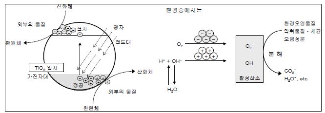 광촉매의 분해작용