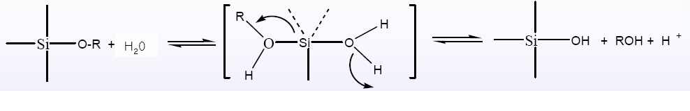 가수분해(Acid catalyed hydrolysis) 반응