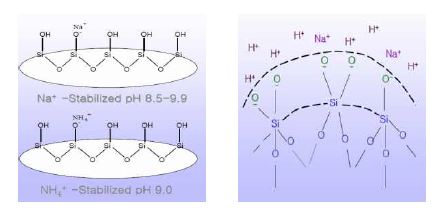 Colloidal Silica의 표면 모습