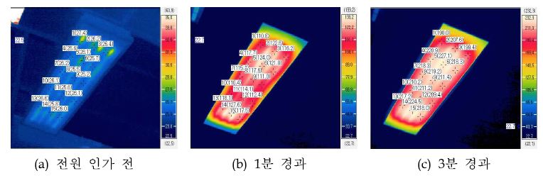 개발 제품 열화상 측정 사진