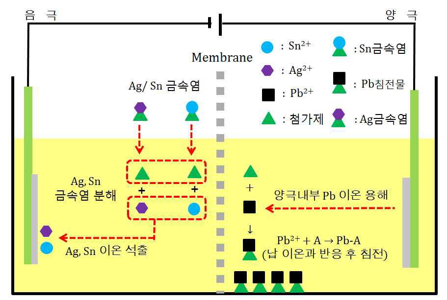 저방사선 방출 SnAg 솔더 정제도금 모식도