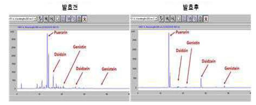 발효 전·후 HPLC 분석 결과