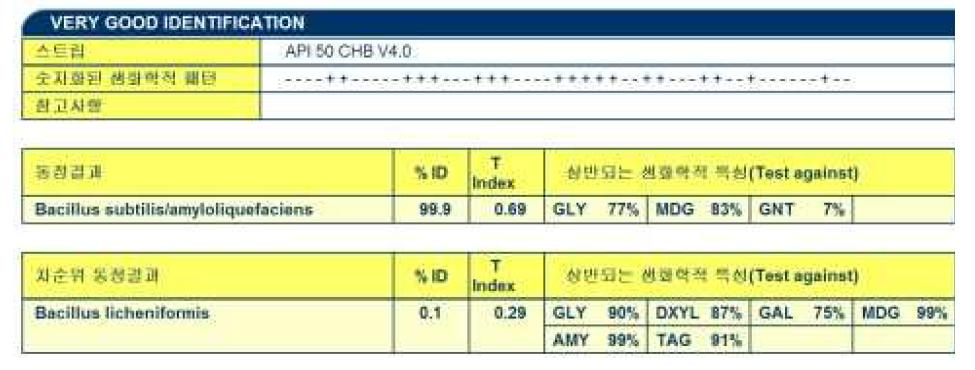 CBN 균주 당 이용성을 활용한 동정 결과