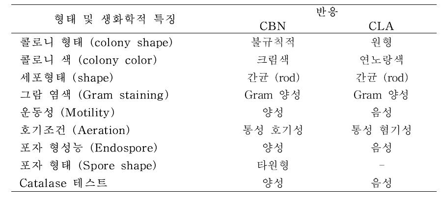 선별 2종 균주의 형태학적, 생화학적 특징