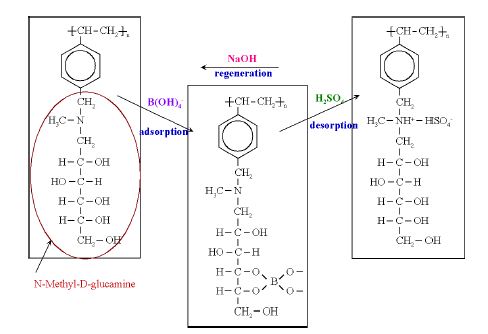 Fig. 7-1 Mechanism for adsorption, desorption and regeneration of boron by ion exchange resin.