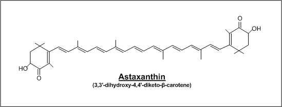 아스타산틴의 일반적 구조