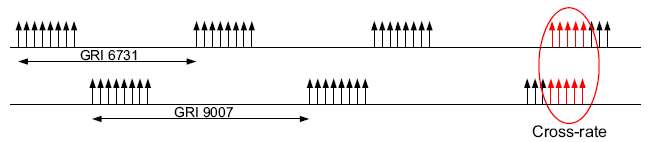 GRI 6731 및 GRI 9007 상의 크로스 레이트의 예