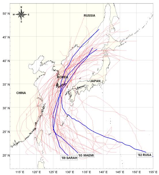 과거 53년간 동해를 통과한 태풍경로(1951년 ~ 2003년)