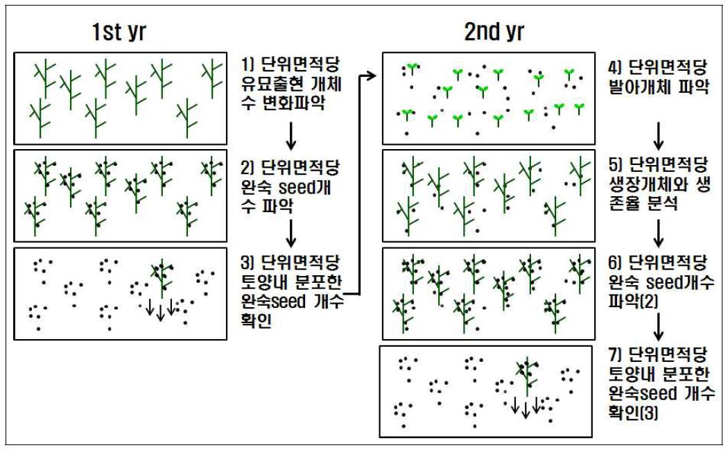 칠면초군락의 종자산포의 계절별 연속관측