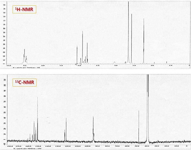 넓패에서 분리된 활성 물질의 1H &13CNMRdata