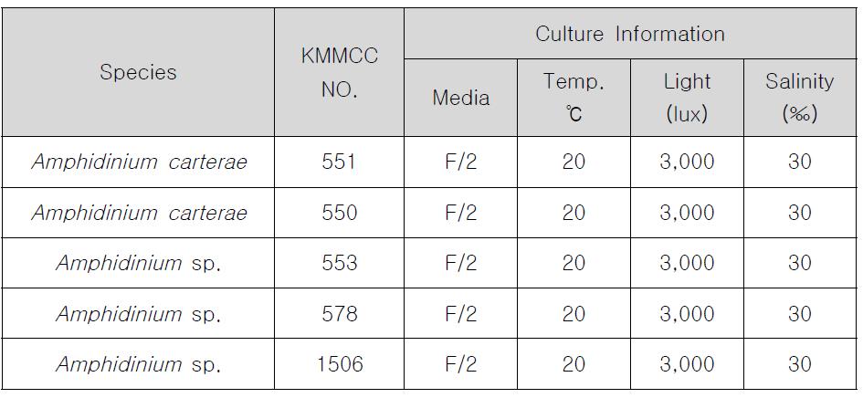 KMMCC에서 분양 받은 Amphidinium strain 목록 및 배양 정보