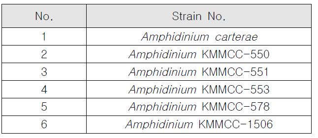 해양미세조류 Amphidinium Strains으로부터 추출된 Genomic DNA 정보