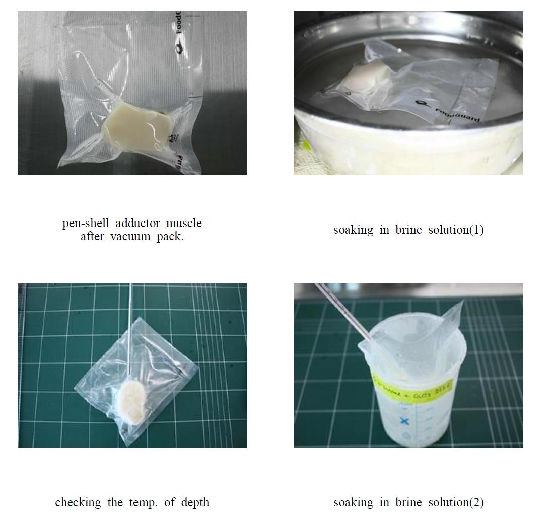 Pictures of processing to brine freezing of pen-shell adductor muscle and to checking the temp of depth